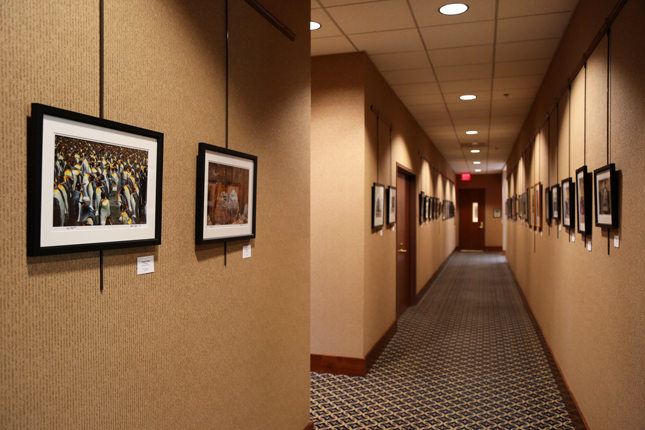 Fluno Center Gallery thumbnail image